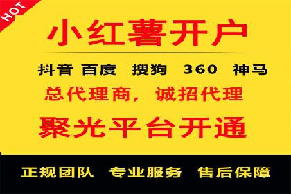 谷歌SEM案例研究：数据分析与效果评估